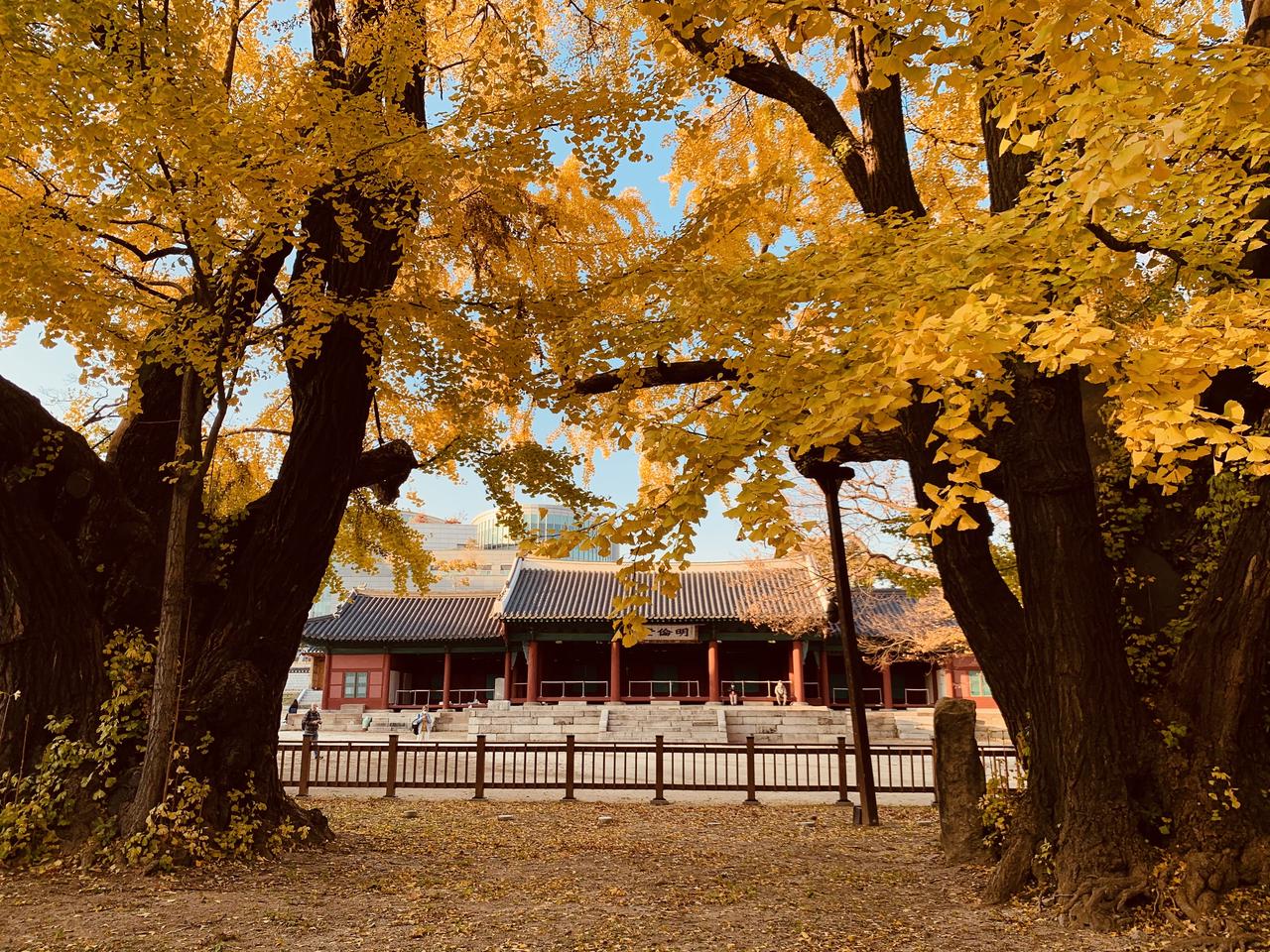 45085583.jpg a810a736-3b01-40a7-9ca8-a3cf9f6b74f5.jpg